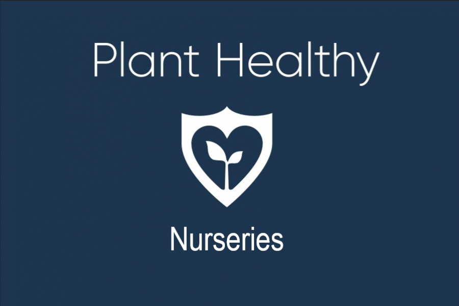 Plant-healthy-nurseries