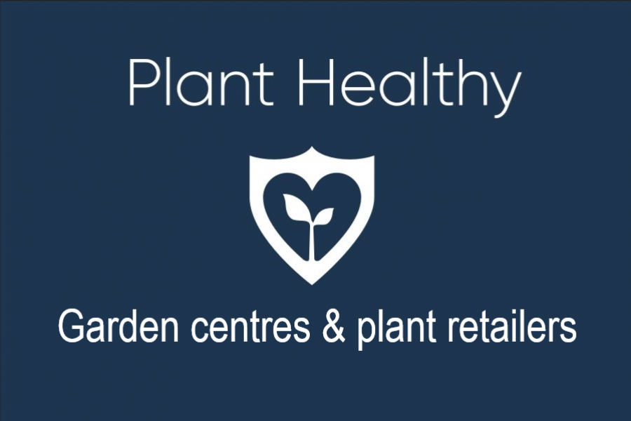 Plant-healthy-retailers